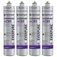 Everpure 4CB5 EV9617-16 Filter Cartridge