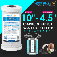 Big Blue Twin Water Filter System with Filters 10" x 4.5"