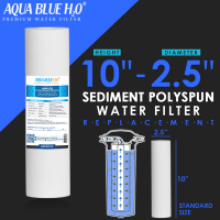 (TEST ITEM)Twin Caravan & RV Water Filter System with Sediment & Carbon Filter