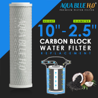 (TEST ITEM)Twin Caravan & RV Water Filter System with Sediment & Carbon Filter
