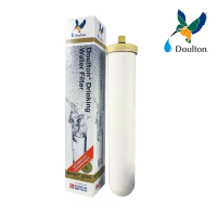 Stainless Steel Countertop Doulton Water Filter System 10"