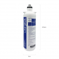 Economaster 60 BCF 19 with Lab Pua LPA-CB5-10 (5um Carbon Block, 10″L)