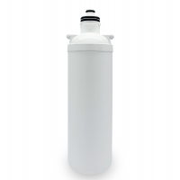 Economaster 60 BCF 19 with Lab Pua LPA-CB5-10 (5um Carbon Block, 10″L)
